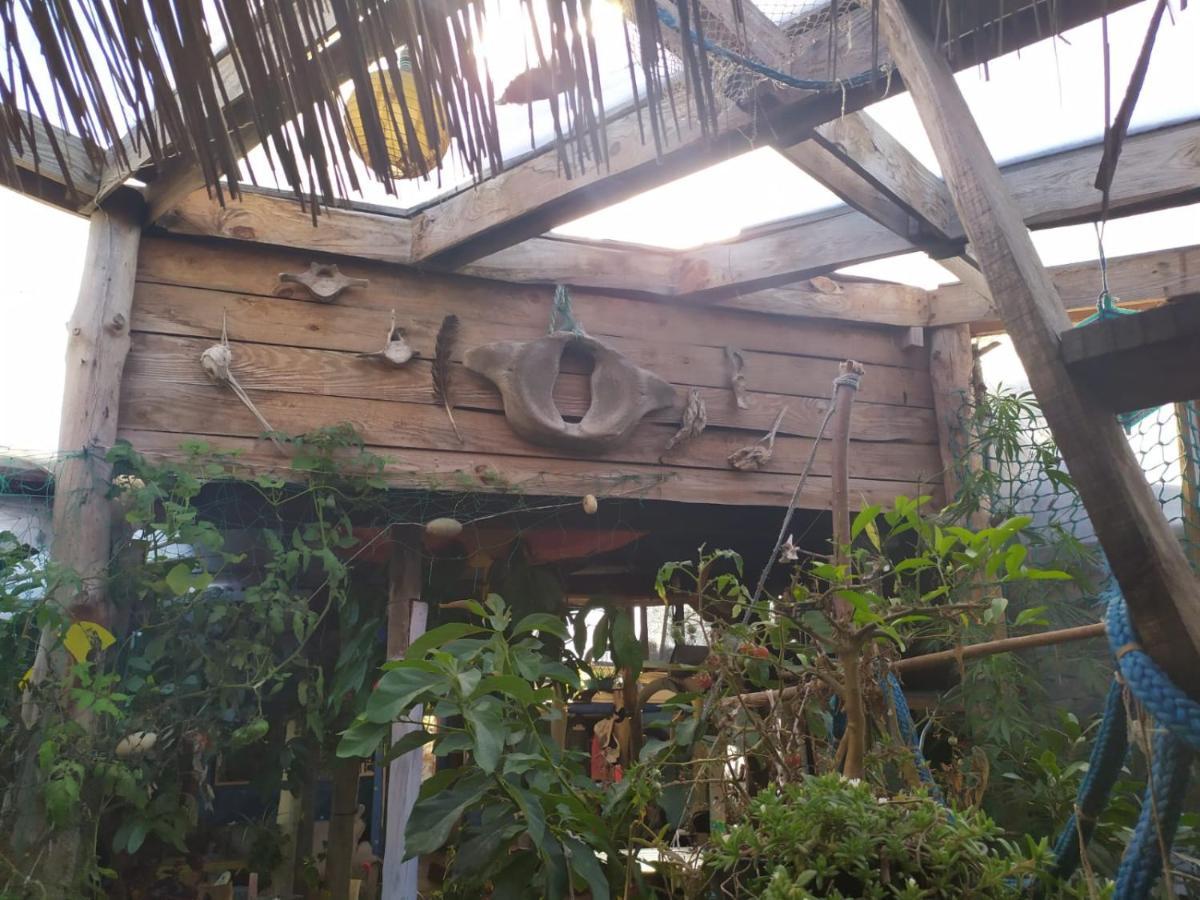 Casa Candombe Y Mar 巴拉德瓦利扎斯 外观 照片