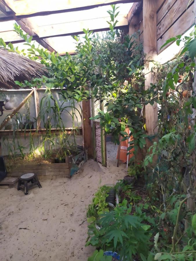 Casa Candombe Y Mar 巴拉德瓦利扎斯 外观 照片