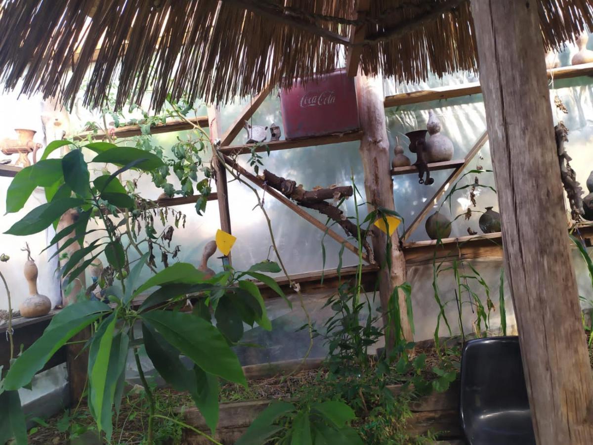 Casa Candombe Y Mar 巴拉德瓦利扎斯 外观 照片